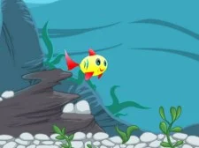 The Happiest Fish